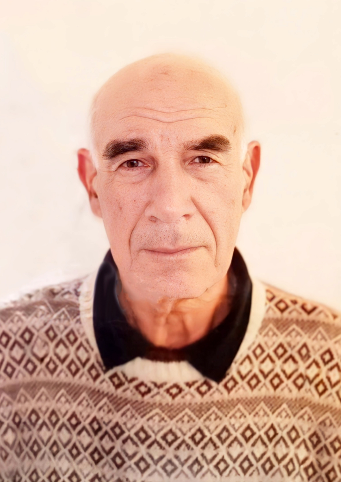 FEDELE PALMA